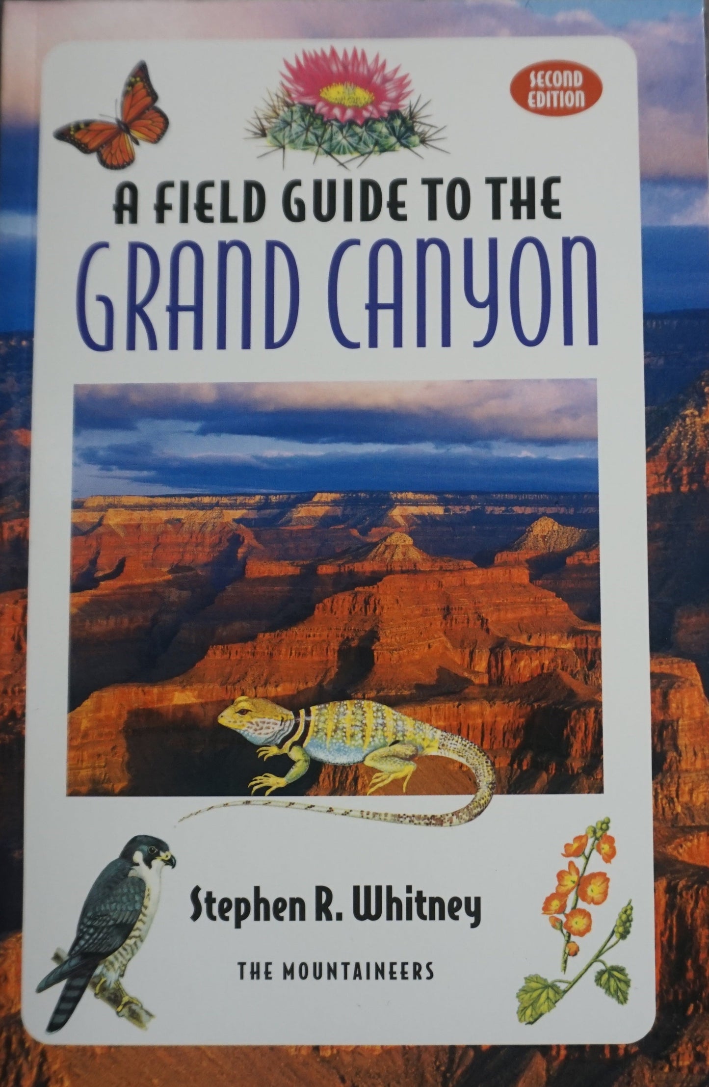 A Field Guide to the Grand Canyon