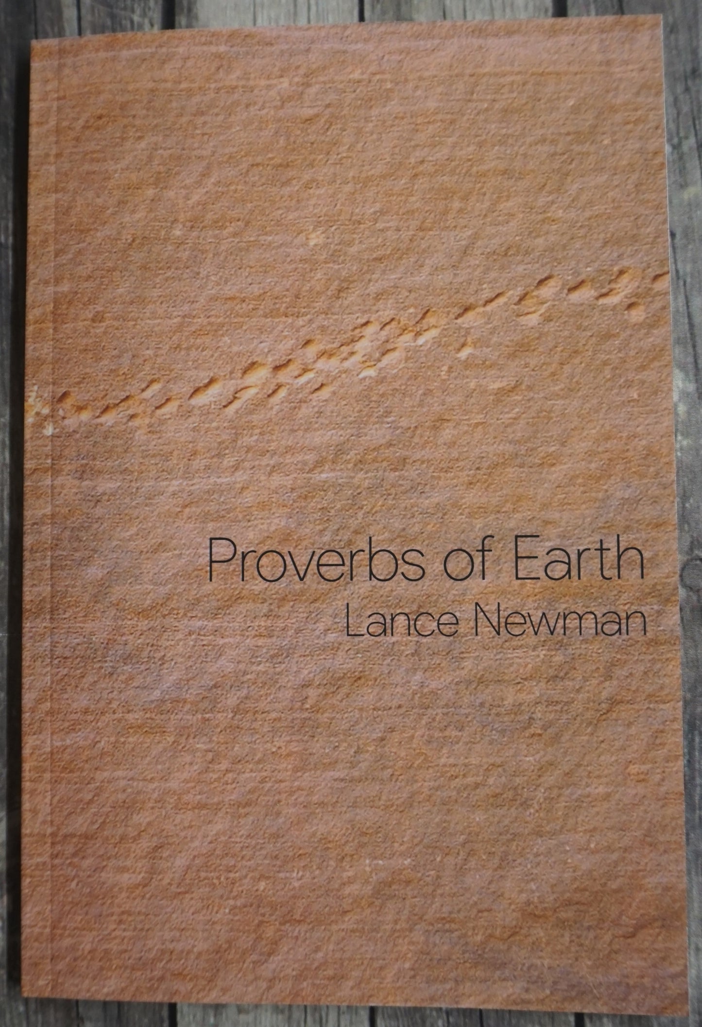 Proverbs of Earth by Lance Newman