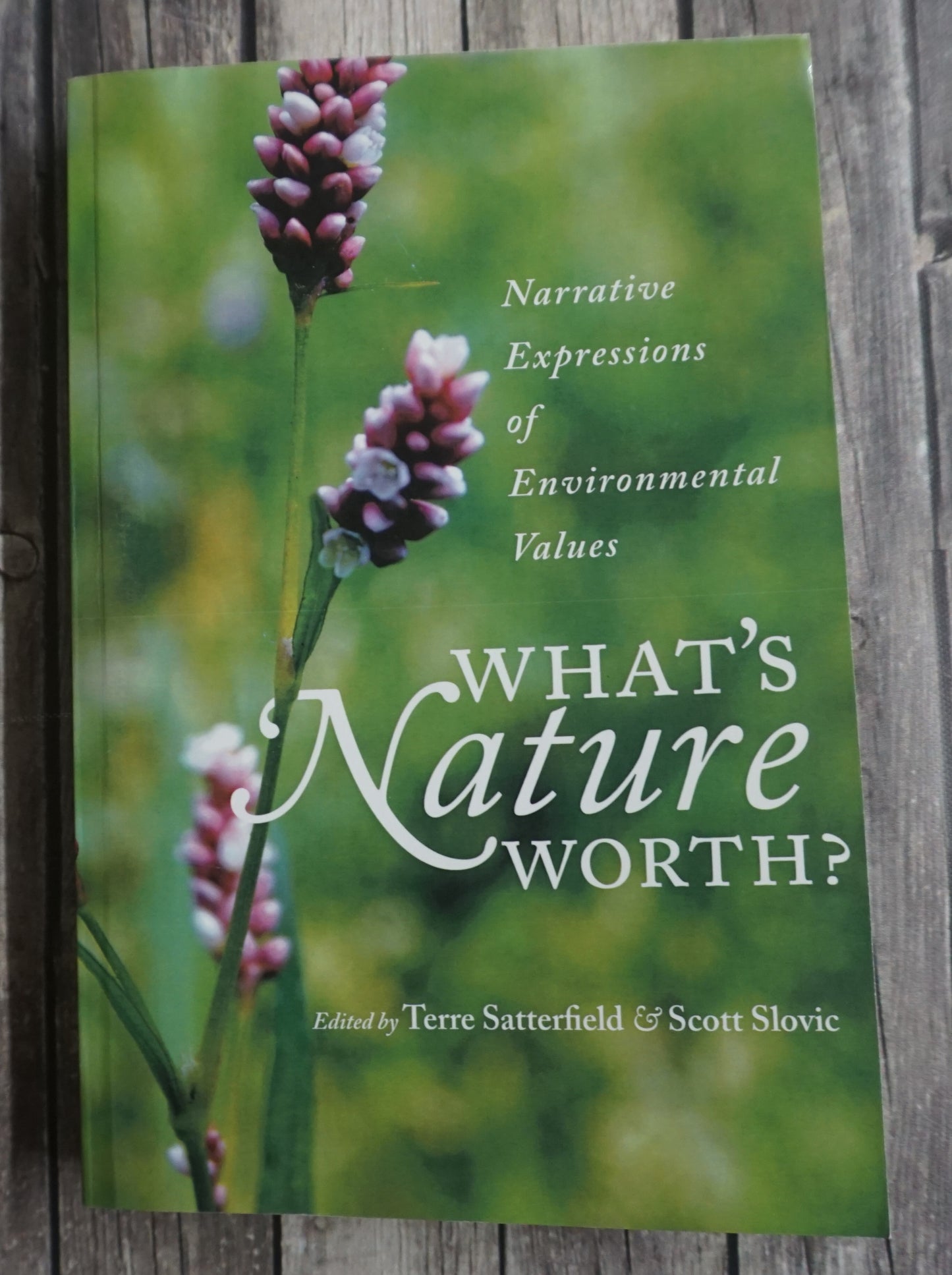 What's Nature Worth: Narrative Expressions of Environmental Values